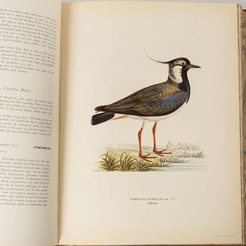 Bröderna von Wright, bokverk, 3 volymer, "Svenska fåglar", A. Börtzells tryckeri AB, Ivar Baarsen, Stockholm, 1924-1929.