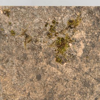 An early 20th century five piece garden suite for Porin Konepaja (Björneborgs Mekaniska Werkstad).