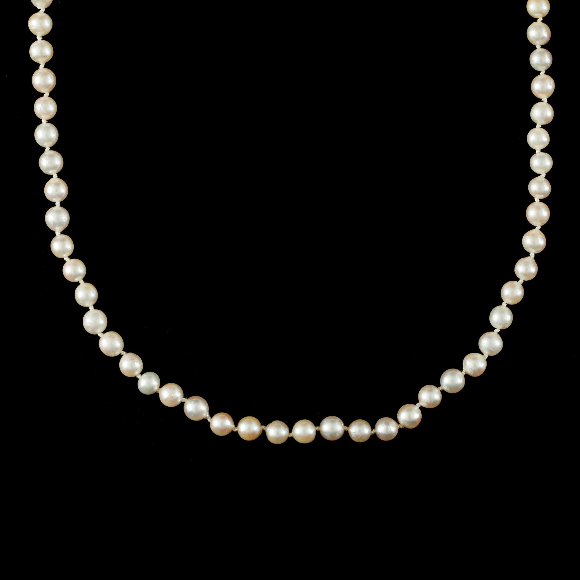 COLLIER, odlade saltvattenspärlor med kullås i sterlingsilver.