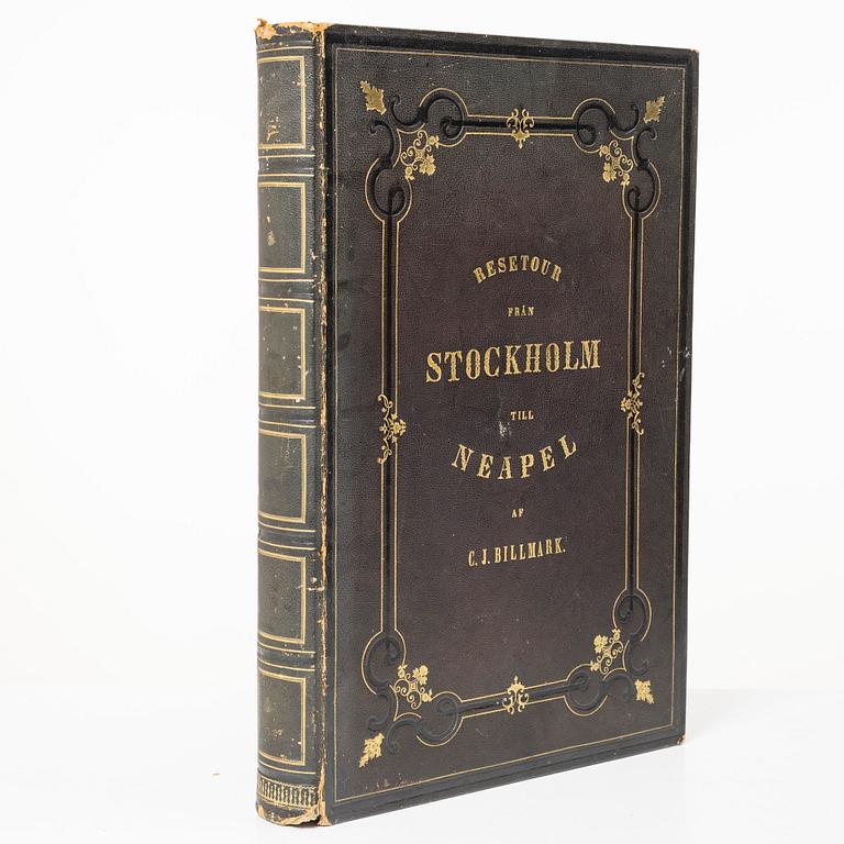 With 100 large tinted lithographed plates.
