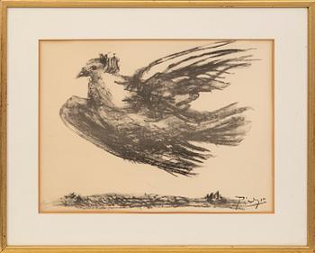 Pablo Picasso, efter, "La Colombe en vol".