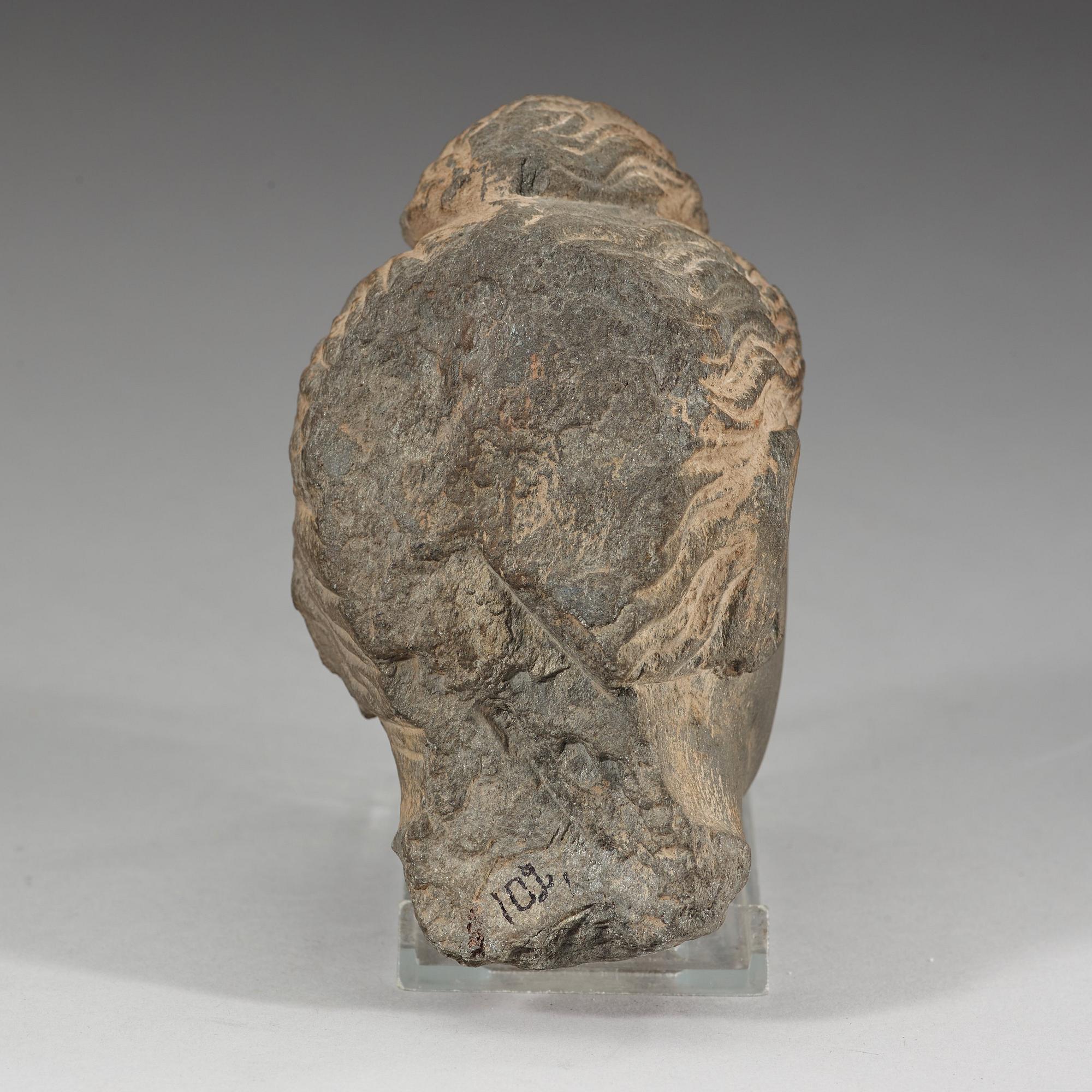 HUVUD, sten. Gandhara, troligen 200/300-tal.