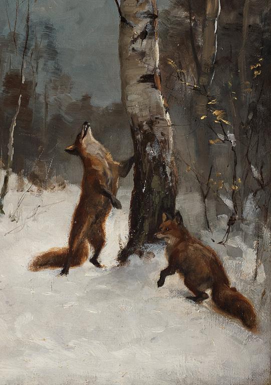 Bruno Liljefors, "Rävar och katt, vinterlandskap" (Foxes and cat, winter landscape).