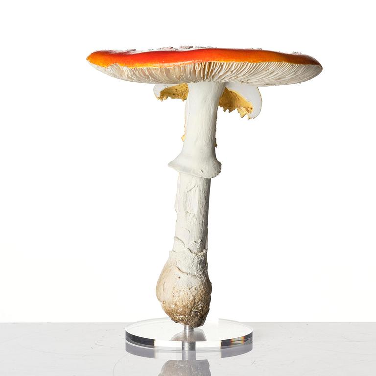 Carsten Höller, "Double Mushroom Vitrine (Once)".