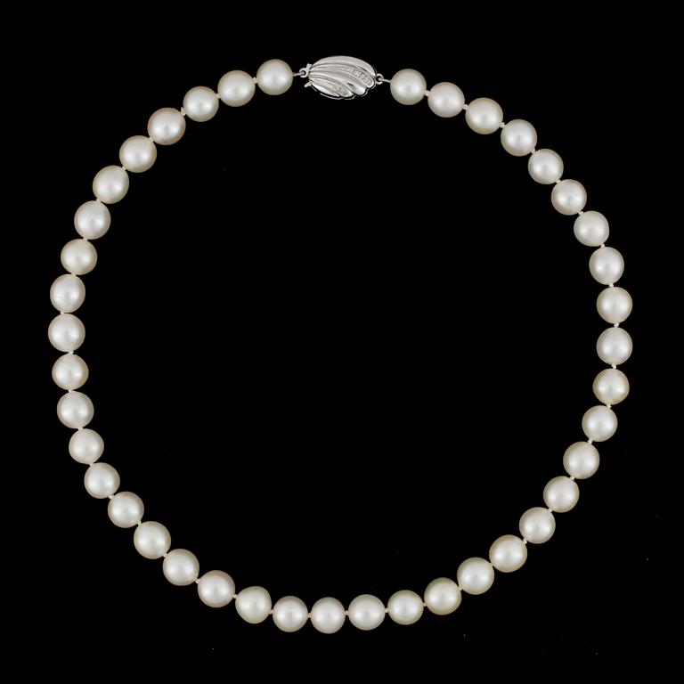 COLLIER, odlade pärlor, lås 18k vitguld.