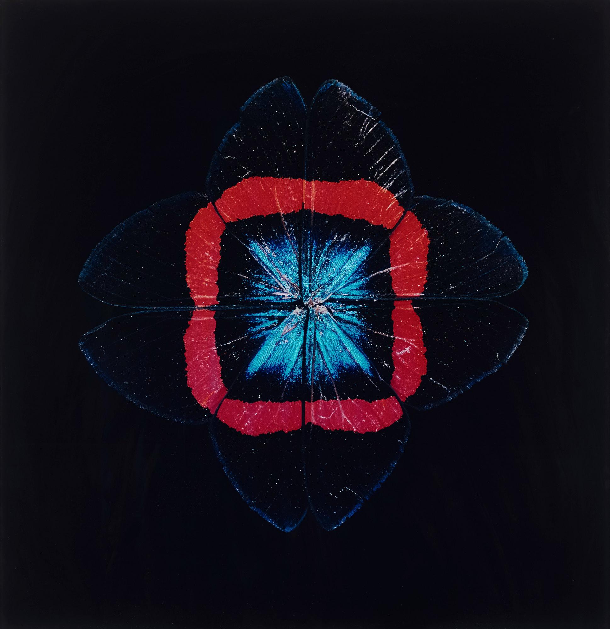 Nathalia Edenmont, 'Red Square', 2005.