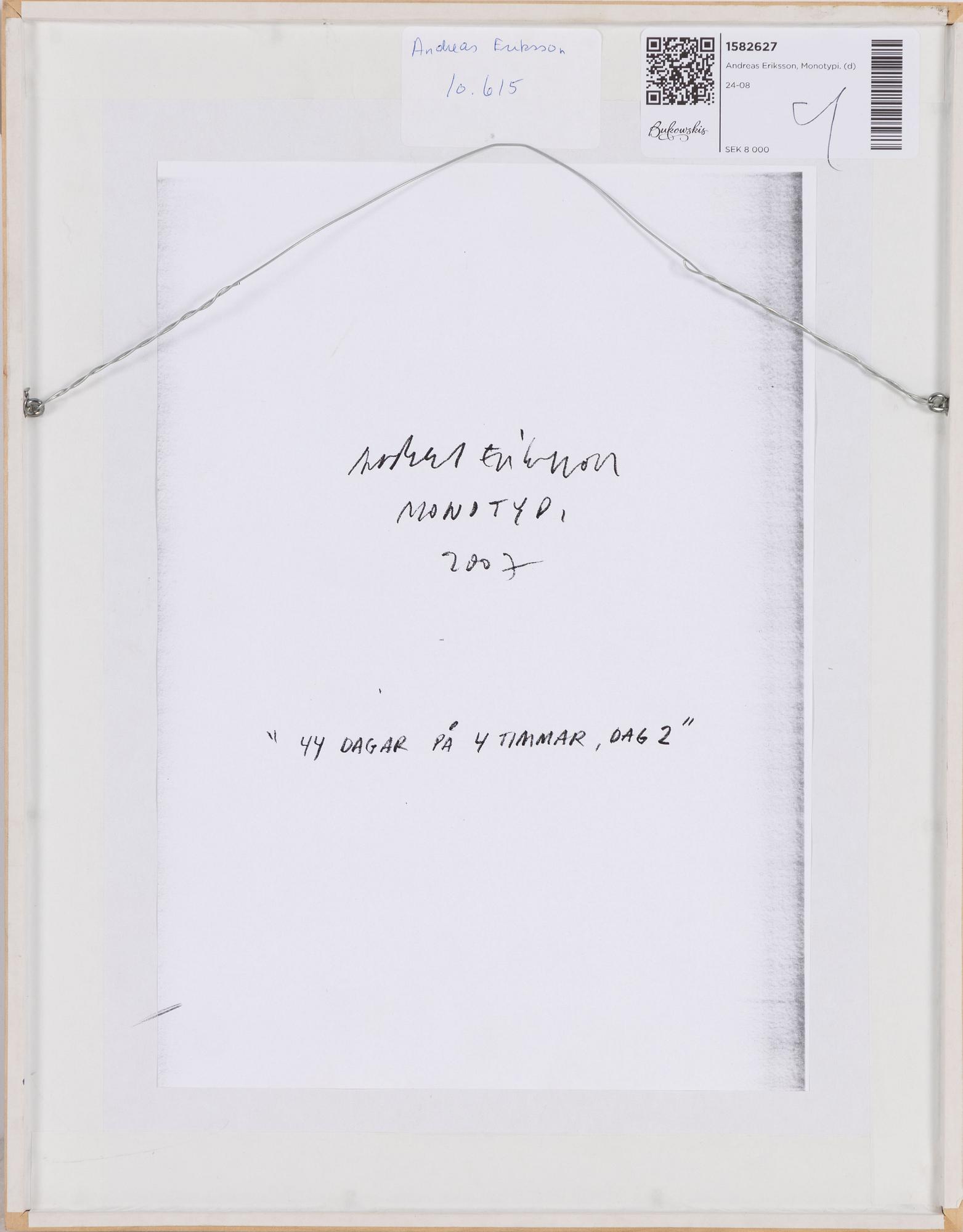 Andreas Eriksson, "44 dagar på 4 timmar, dag 2".