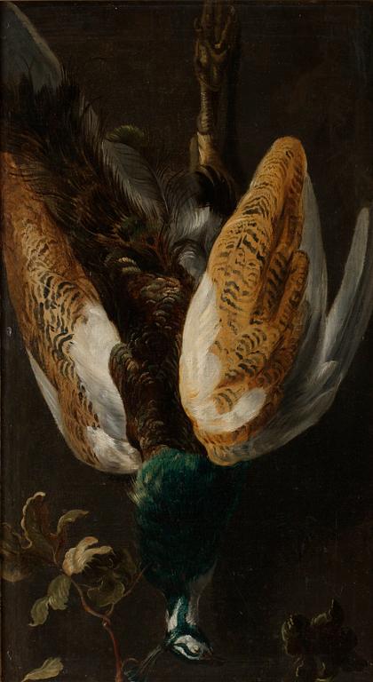Still life with pheasant.