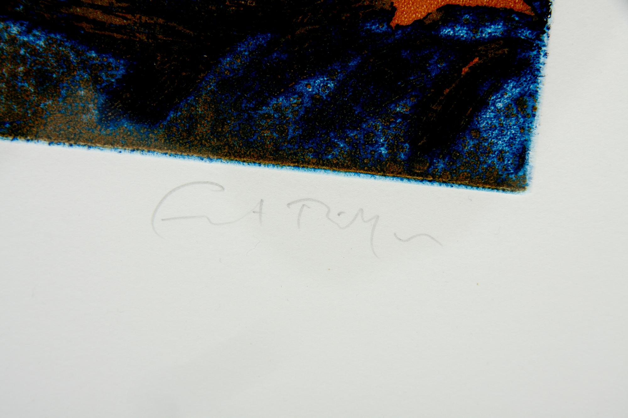 ERNST BILLGREN, färgetsning, sign o numr 80/110.
