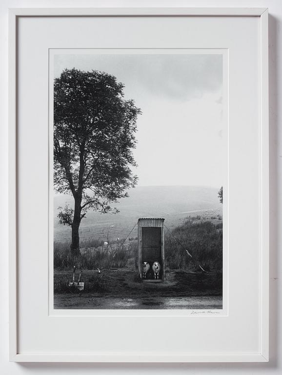David Hurn, "Eppynt, Wales", 1973.