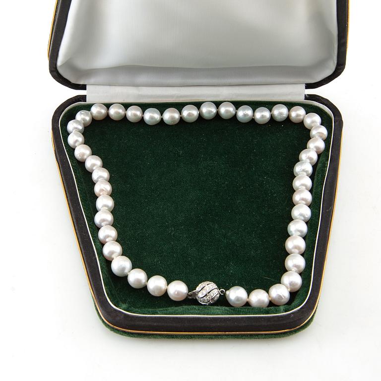 Necklace, 18K white gold and brilliant-cut diamonds and saltwater pearls.