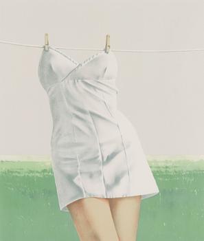 Yrjö Edelmann, 'A Dress Drying on the Line'.