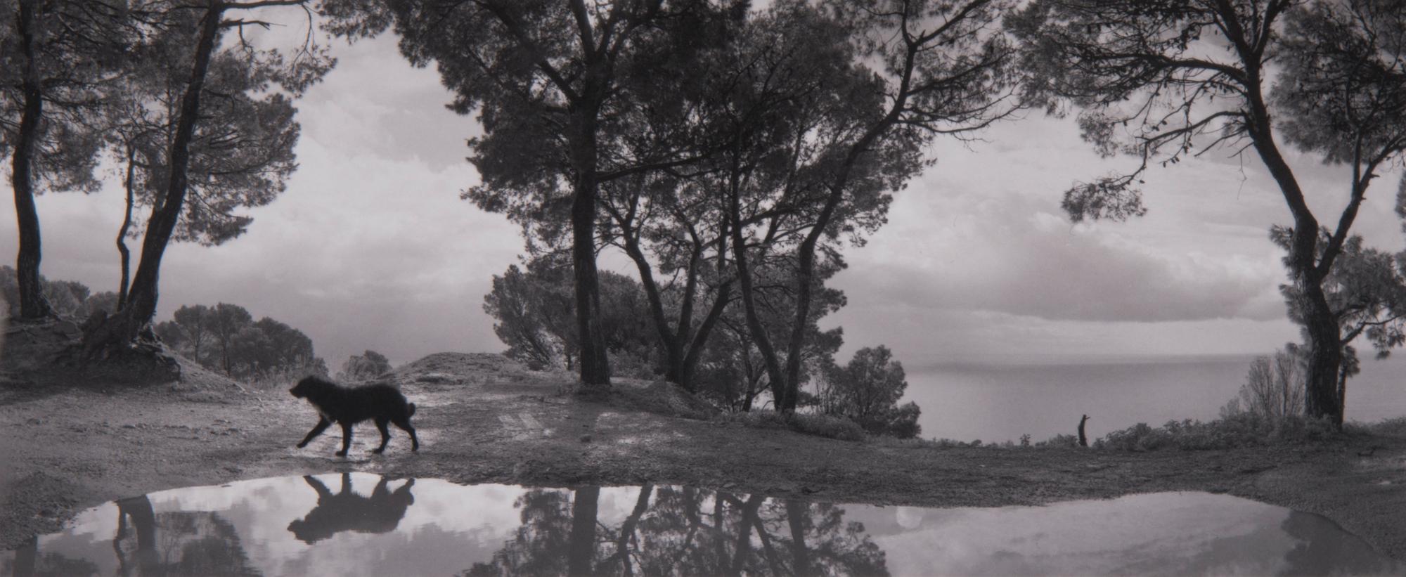 PENTTI SAMMALLAHTI, "CILENTO, ITALY".