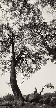 Pentti Sammallahti, "Swayambhunath, Nepal, 1994".