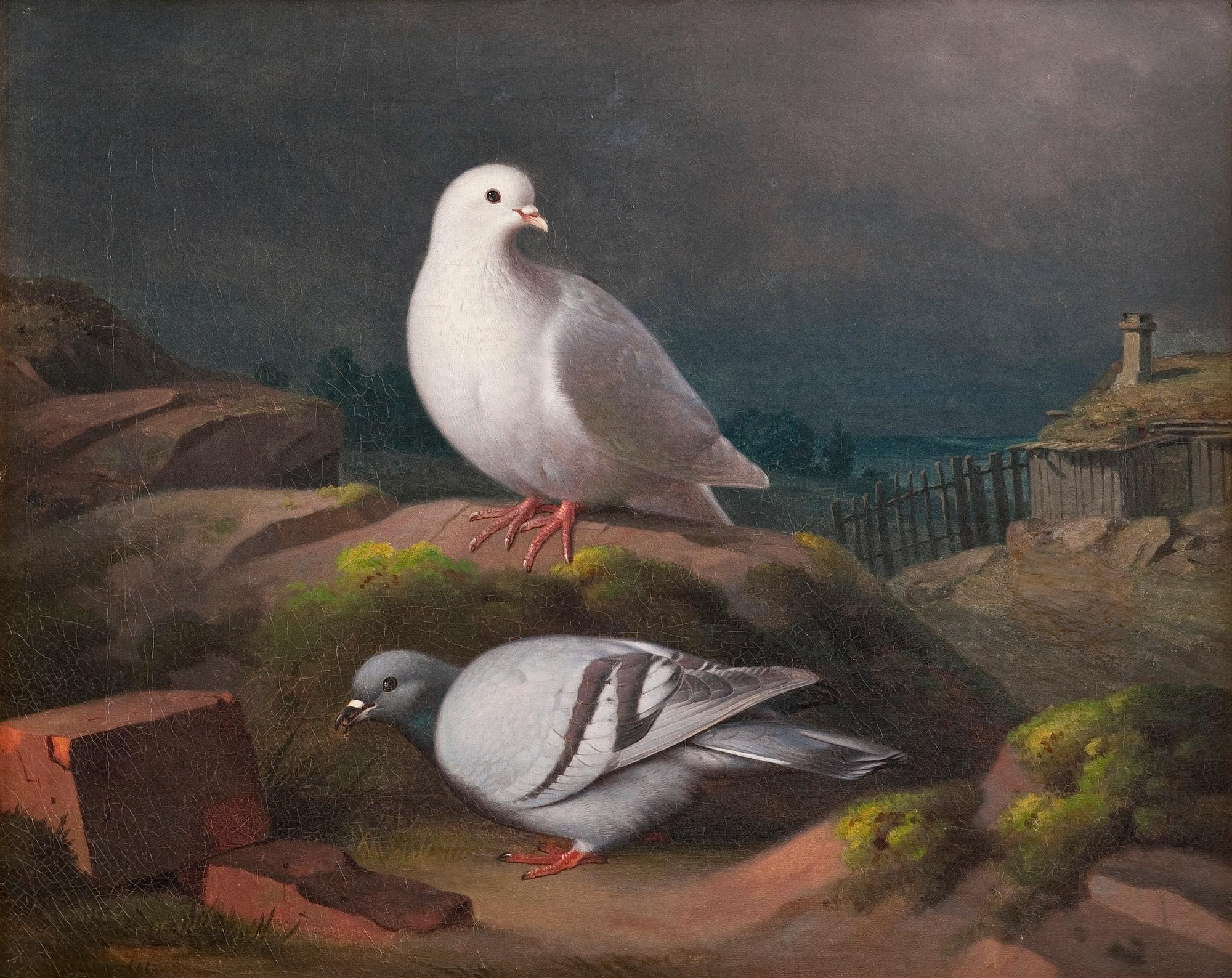 Ferdinand von Wright, "KYYHKYSIÄ KALLIOLLA".