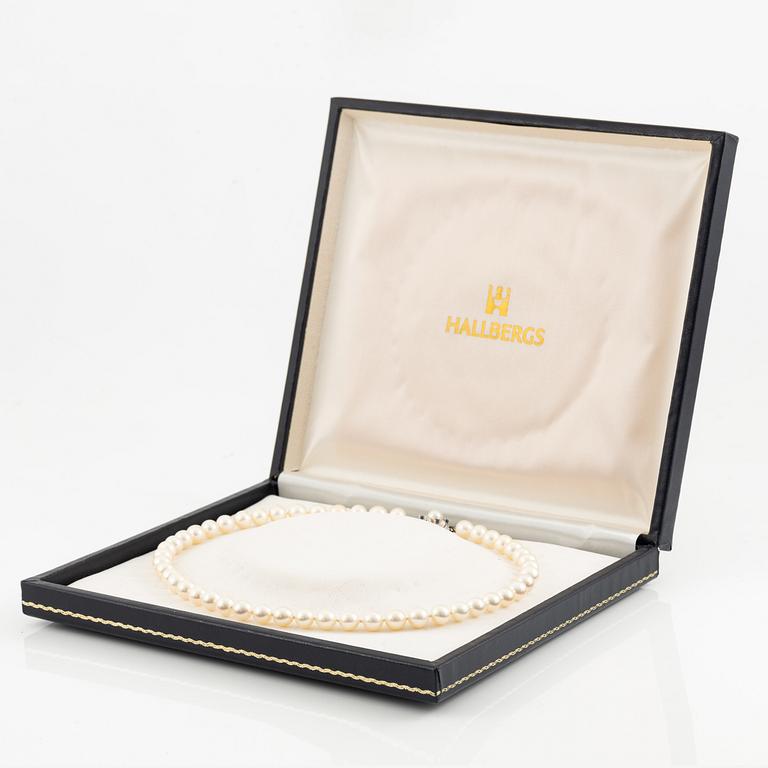 Pärlcollier, med odlade pärlor, med lås 18K vitguld med safirer.