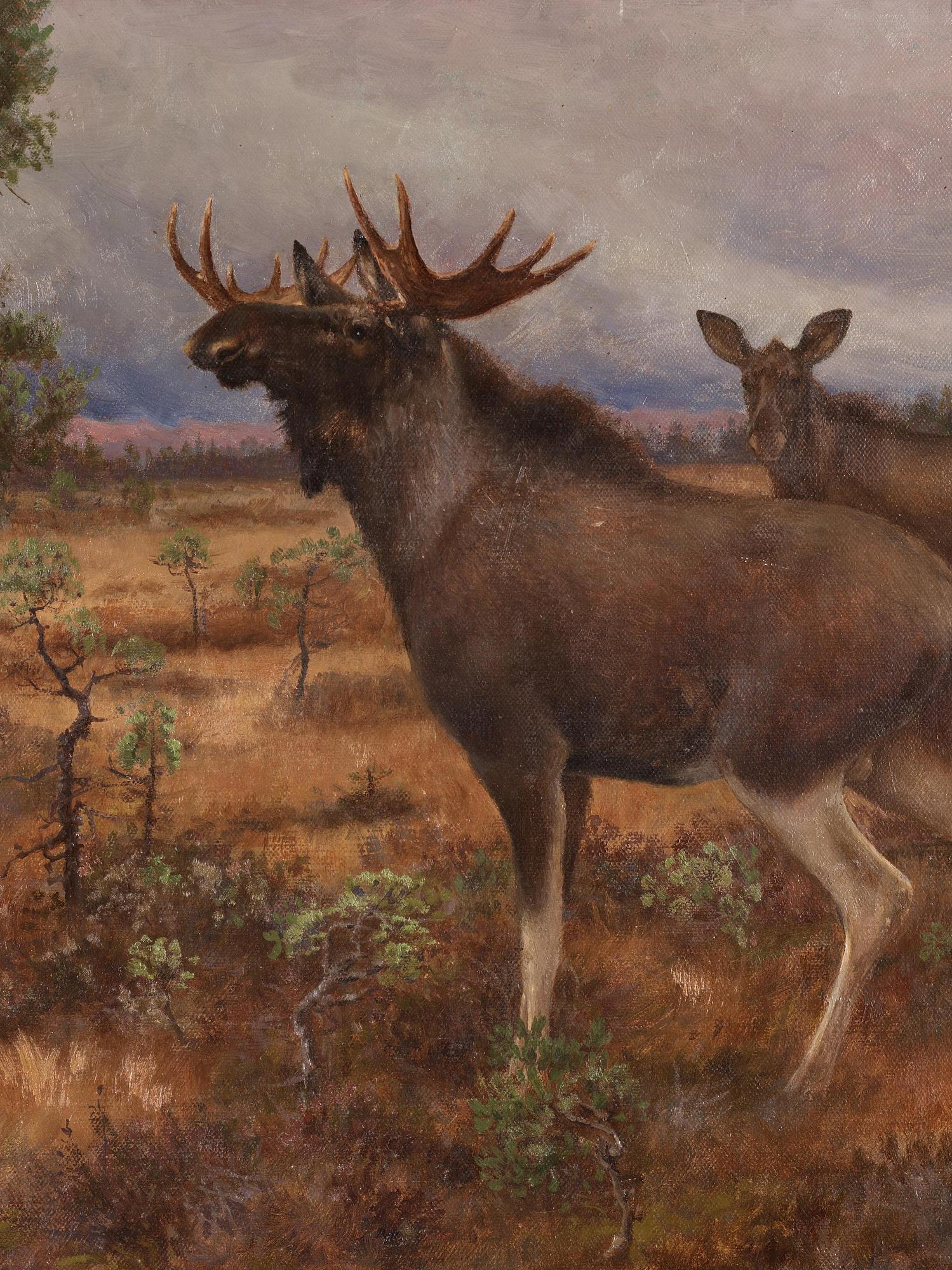 Axel Borg, Moose in autumn landscape.