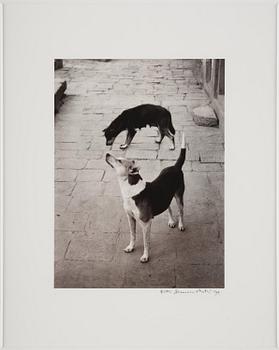 Pentti Sammallahti, "Swayambhunath, Nepal, 1994".