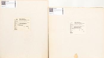 Tuulikki Pietilä, color lithograph and wood engraving, signed, dated, and numbered 1946 4/10 and 1955 4/7.