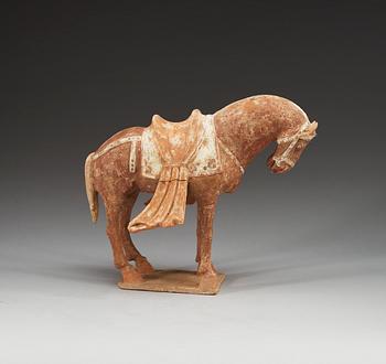 A painted pottery figure of a horse, Northern Wei) (386-535).