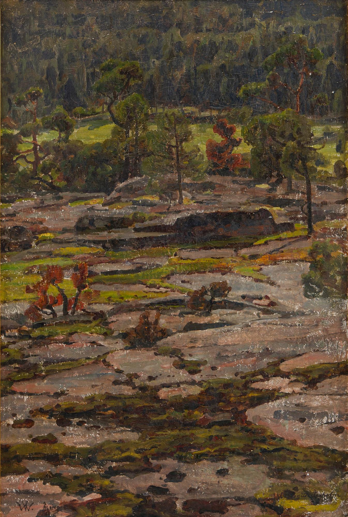Victor Westerholm, From Knutsboda mountains.