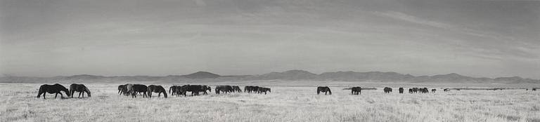 Pentti Sammallahti, "Siperiasta, 1997".