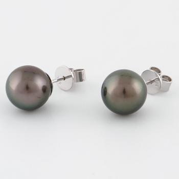 ÖRHÄNGEN, med odlade Tahitipärlor.