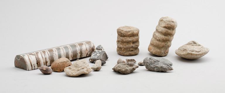 SAMLING FOSSILER, ca 18 st.