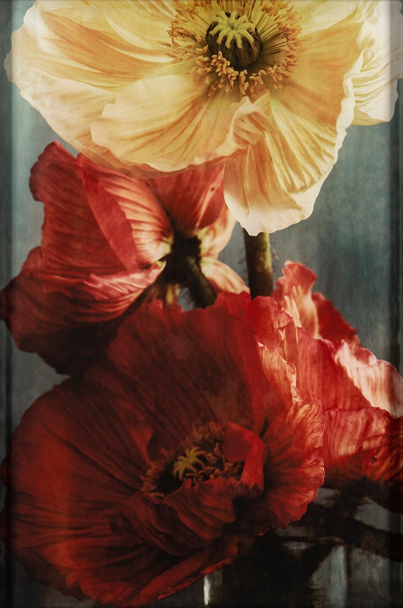 EWA-MARIE RUNDQUIST, photograph signed and numbered 1/1 on verso.