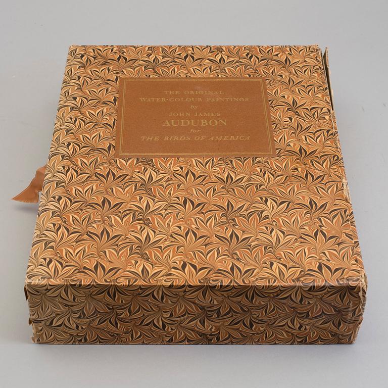 A BOOK, Audubons klassiska fågelbilder, James Audubon.