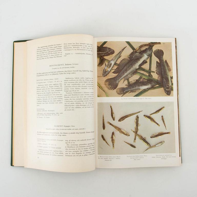 Böcker 3 vol "Fiskar och fiske i Norden" samt "Oss sportfiskare emellan".