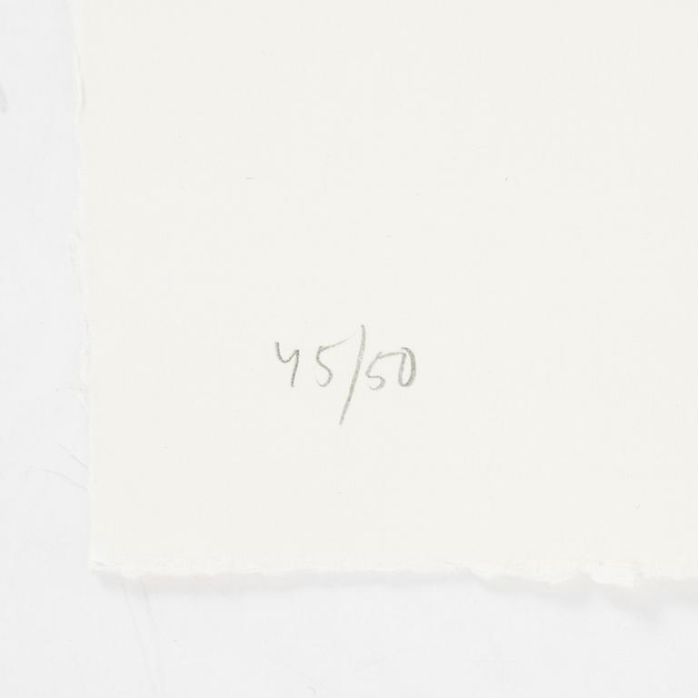 Jan Håfström, etching in colours, 2020, signed 45/50.