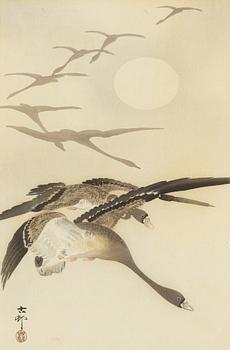 Ohara Koson, a woodlbock print in colours, 20th century.