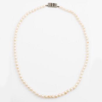 Pärlcollier med odlade pärlor, lås 18K vitguld med rosenslipade diamanter och carréslipade safirer.