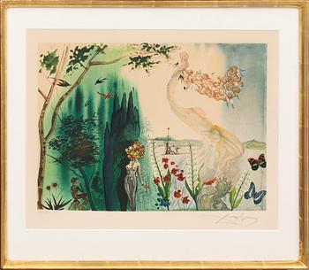 SALVADOR DALÍ, colour lithographe, signed and numbered 66/195.