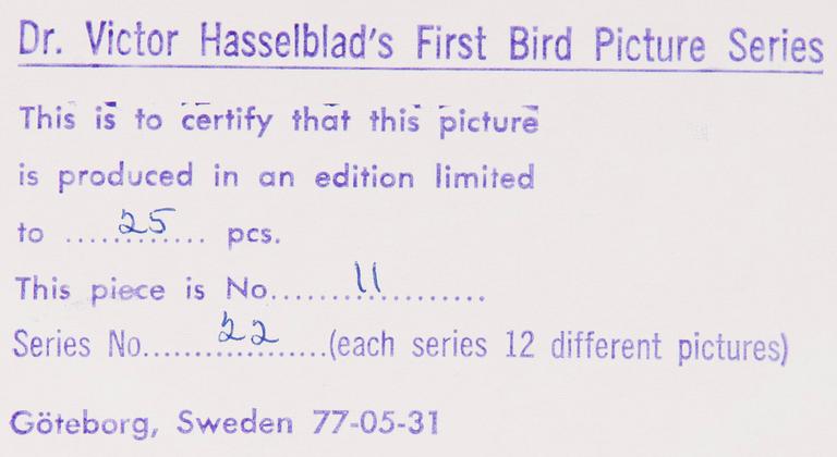 VICTOR HASSELBLAD, fotografier, 12 st, signerade, daterade och numrerade, ur serien nr 22.