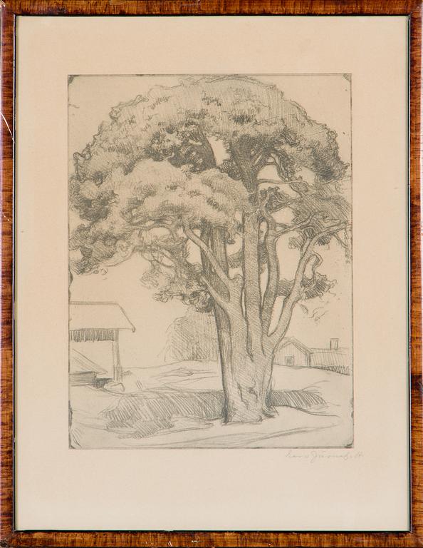 Eero Järnefelt, "Tuomalan mänty I".
