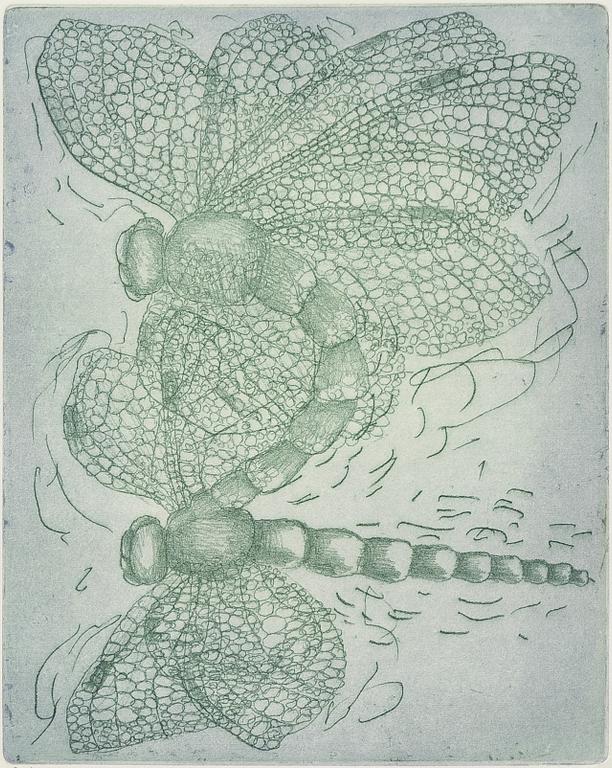 Arvo Philiph Luik, Dragonflies.
