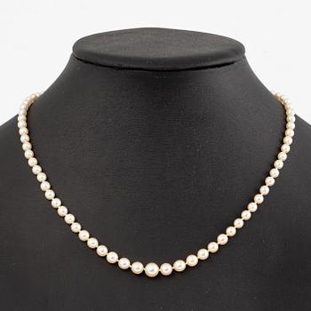 Pearl necklace, with graduated cultured pearls, clasp 18K white gold.