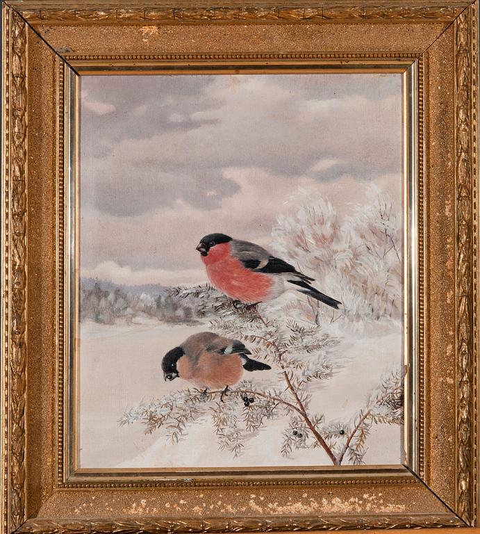 Matti Karppanen, BULLFINCHES.