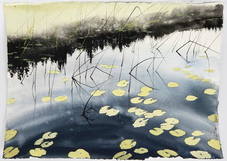 Peter Eugén, Water Lilies.