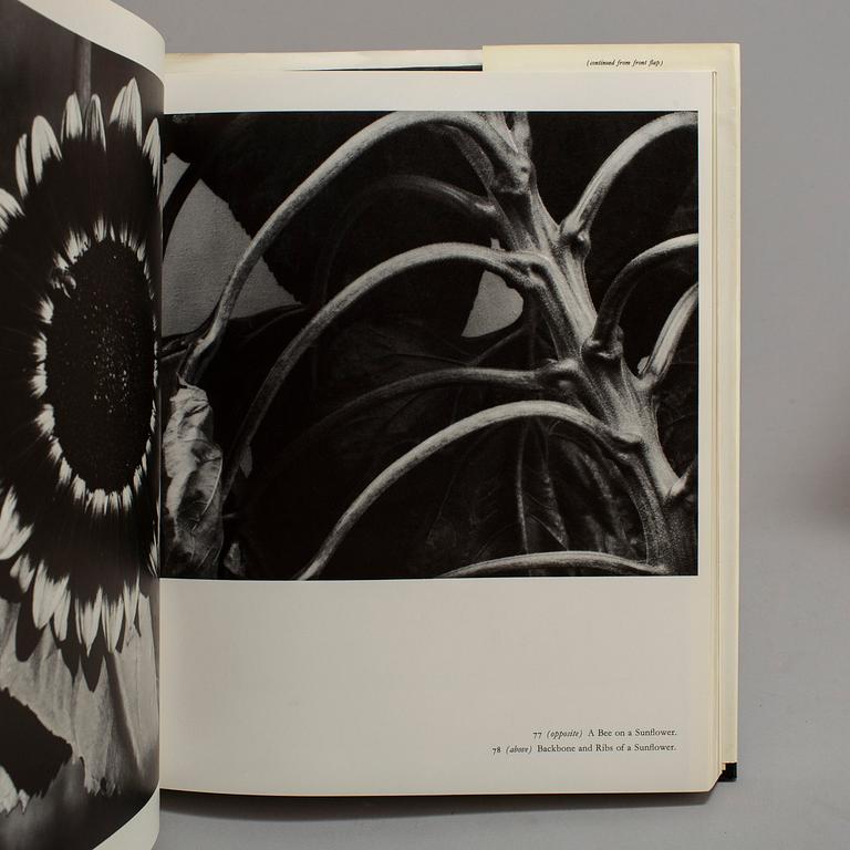 PHOTOBOOKS, 3, Edward Steichen.