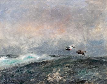 259. Mosse Stoopendaal, FLYING EIDERS.