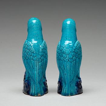 A pair of turquoise and aubergine glazed parrots, Qing dynasty, 19th Century.