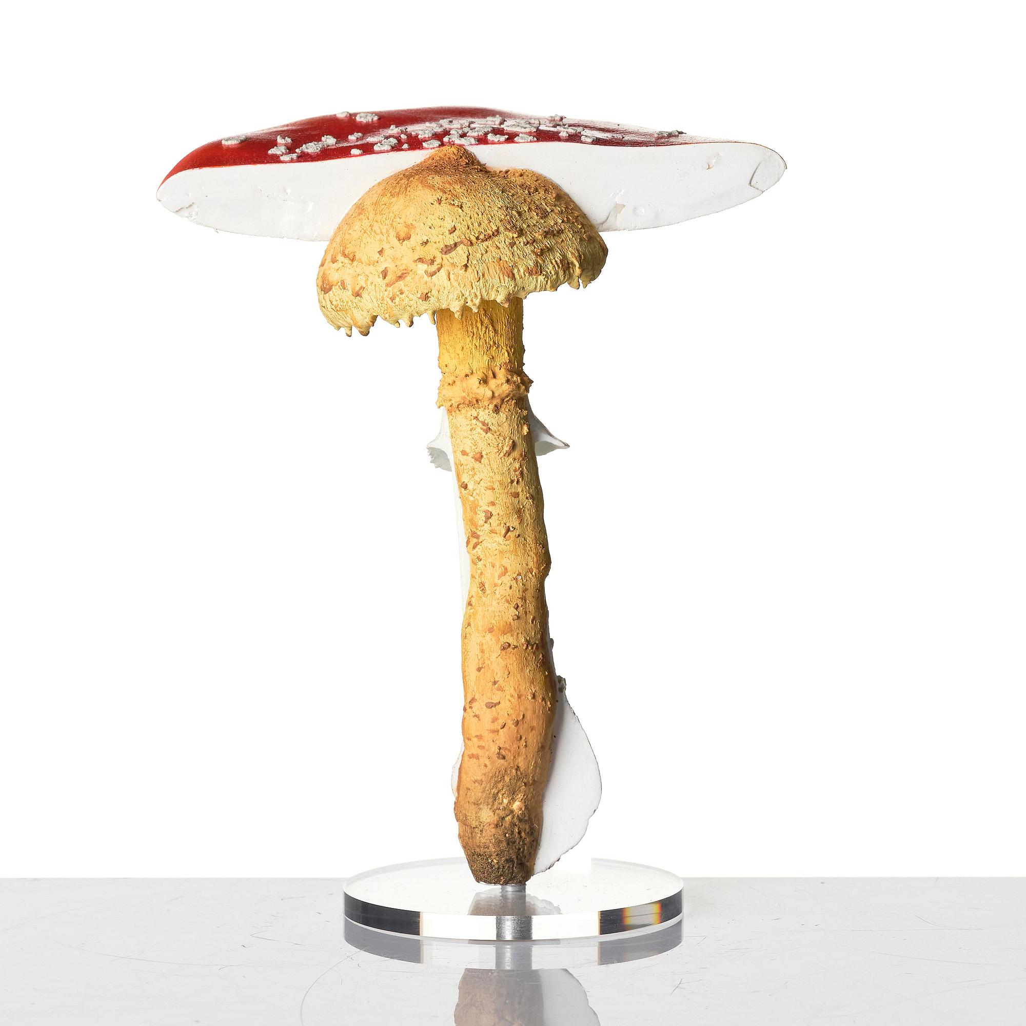 Carsten Höller, "Double Mushroom Vitrine (Once)".