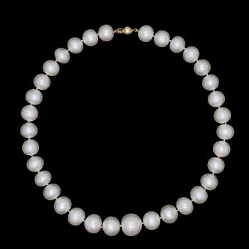 240. NECKLACE, cultured fresh water pearls, 16,4-12,2 mm.