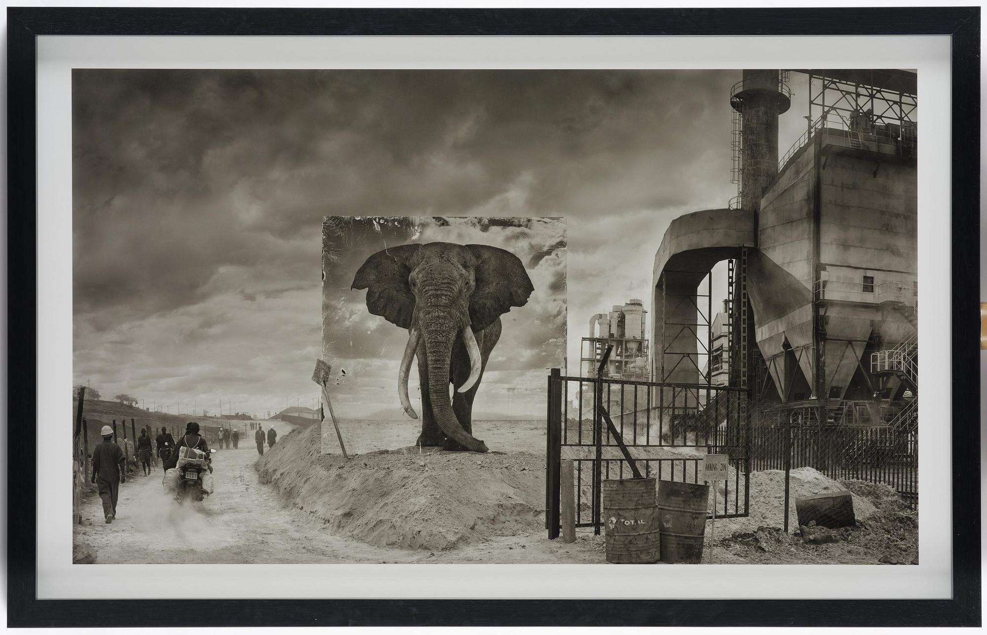 Nick Brandt, "Factory with Elephant", 2014.