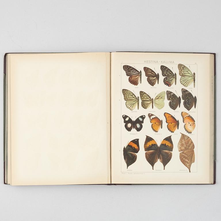 Four volumes of "Die Gross Schmetterling der Erde" by Dr. Adalbert Seitz, Stuttgart, Germany, 1912-15.