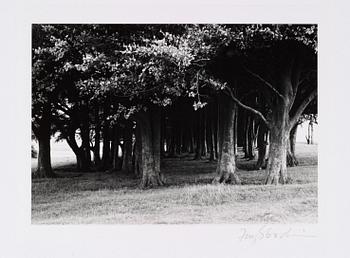 FAY GODWIN, "Approaching Barbury Castle Clump", 1975.