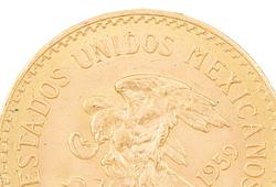 Coin Auction